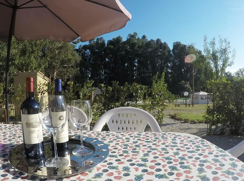 Casa Vacanze La Sainella Aparthotel Bibbona Italia