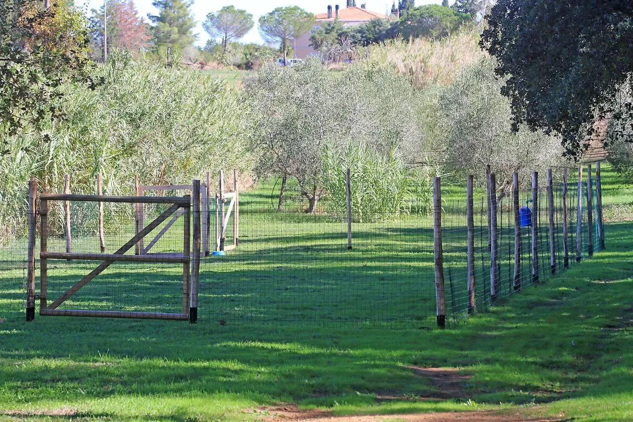 Casa Vacanze La Sainella Aparthotel Bibbona